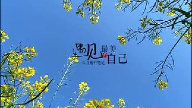 看到油菜花试试这样拍太美了 #手机摄影 #拍摄技巧 #油菜花 #春暖花开奔你而来 #治愈系风景