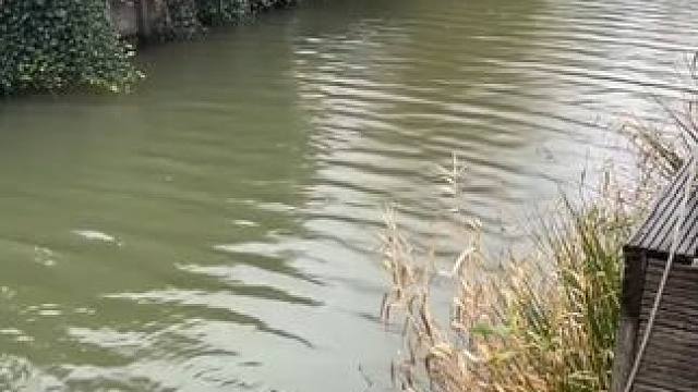 你以为是一只钢笔，其实。 #玩个很新的东西 #鱼竿