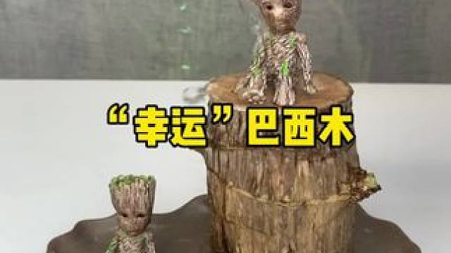 男生的桌面“玄学”！一棵巴西木让我涨薪30% #职场开运#男人仪式感#办公室好物