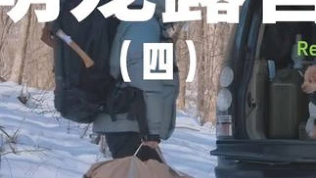 萌宠露营（四）#露营 #助眠 #解压 #萌宠 #全套露营装备推荐