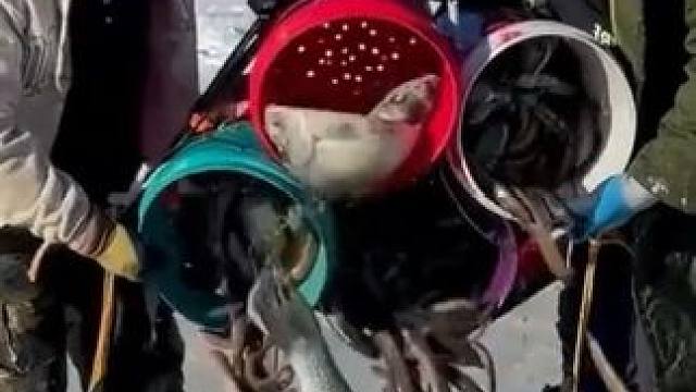 #户外捕鱼 #好多鱼