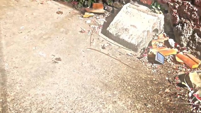 捡到钱了，见者有份