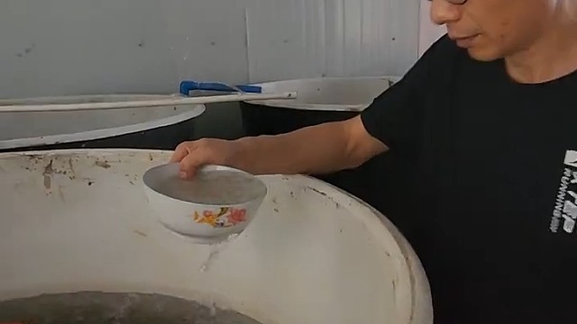 泥鳅苗孵化一批要多久