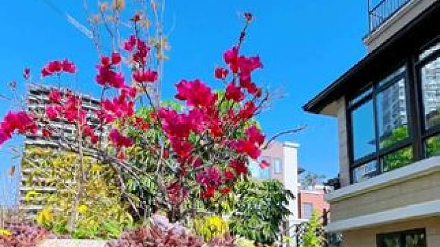 #攀枝花普达#晨曦#康和北苑