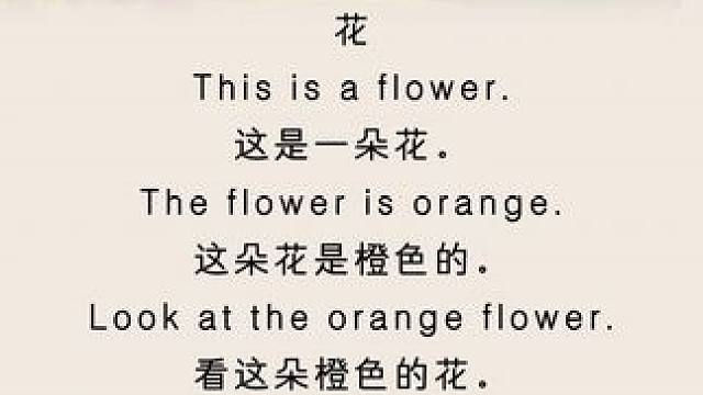 #每天学习一点点 #英语口语 #启蒙早教