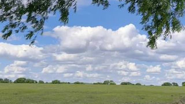 “听着这首歌躺在草坪上望着天空 有种我心归来的平静又充满欣喜的感觉”