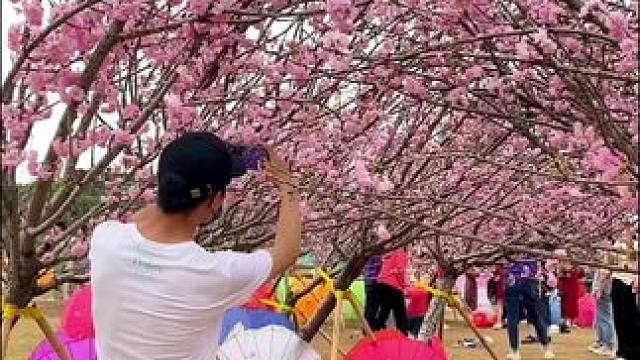 看到花花美景试试这样拍太美了 “时光匆匆，留一份闲情与花草为伴，存一分静气容纳悲欢，若无草木难以养心