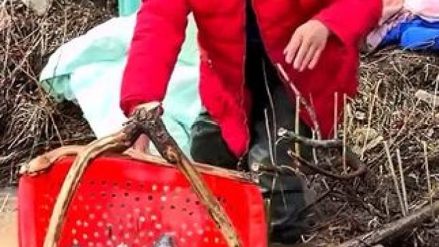 #户外捕鱼 #好多鱼