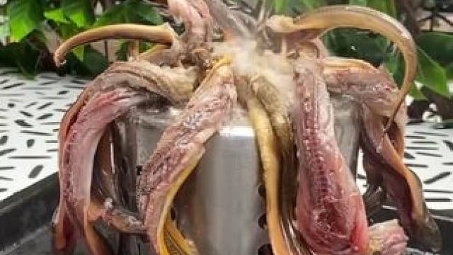 老婆不在家，我在家研究新吃法油泼大黄鳝 #泰国有哪些神奇美食 #户外美食 #泰国大叔#内容启发搜索 