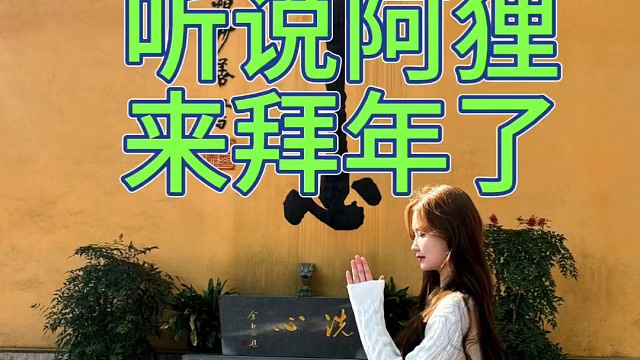 阿狸倪海杉助理