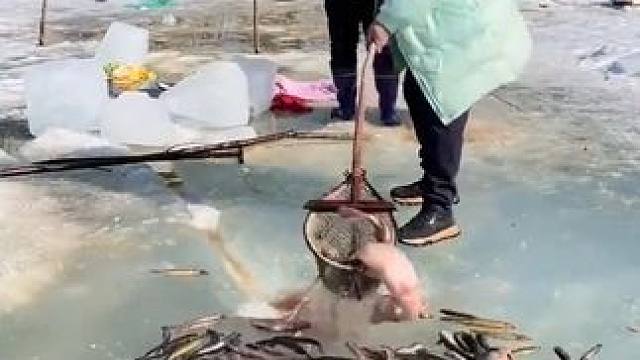 #户外捕鱼 #好多鱼