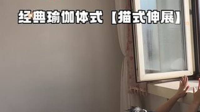 经典瑜伽体式【猫式伸展】 #瑜伽