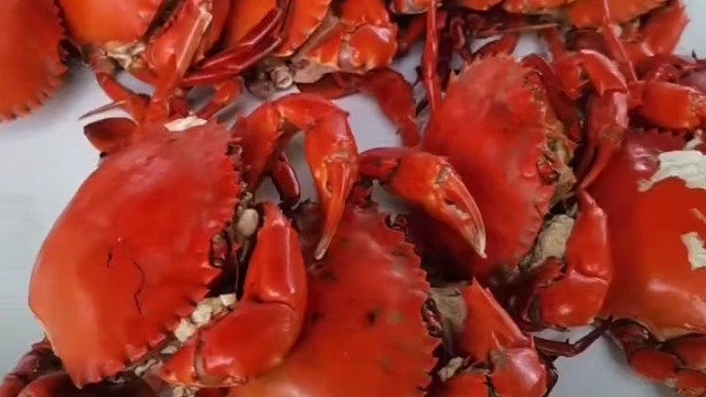 一年一度的粤西年例开始了