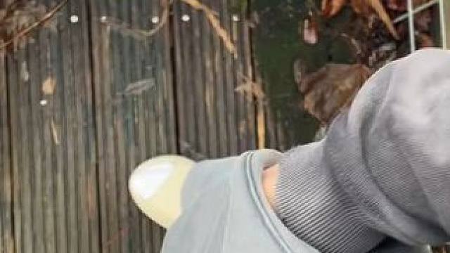 你以为是一只钢笔，其实。 #玩个很新的东西  #鱼竿