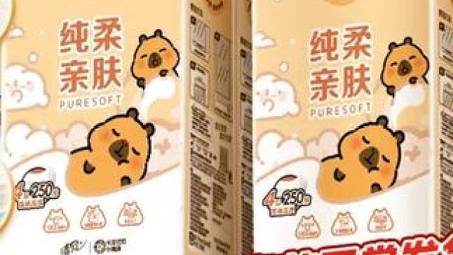 清风挂抽10提卡皮巴拉抽纸整箱悬挂式抽纸4层加厚250抽/提卫生纸
 
 #卫生纸 #好物推荐 #卫