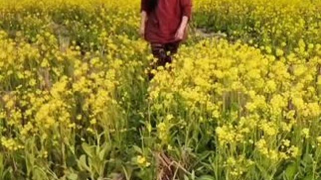 山卡卡里的农村大姐学费了开直播每天收获满满您还在恐播怕播不敢开播开播了不知说什么吗#记录真实生活 #