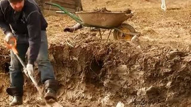 建个梦中情房 #是时候展现真正的技术了 #dou来休息一下 #农村生活