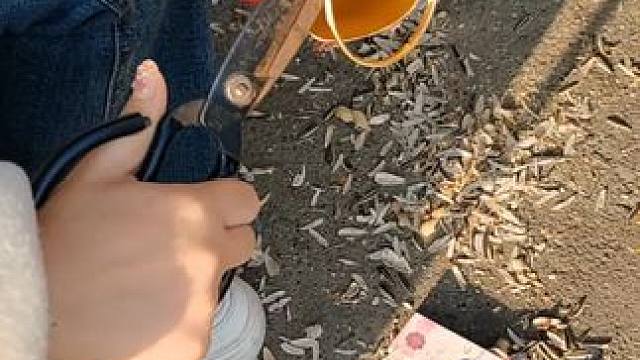 我发布了一个新视频，快来围观吧！