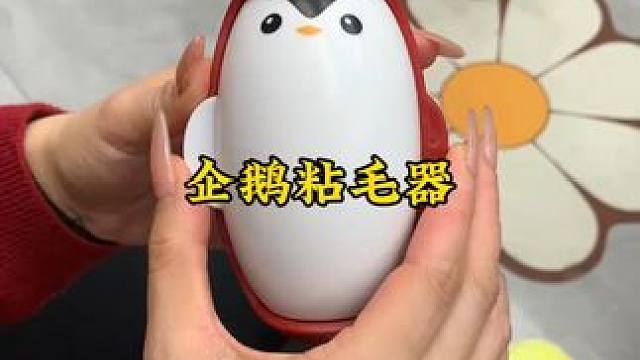 神奇的粘毛器 神奇的粘毛器!不仅能轻松清理头发和猫猫狗狗掉落的毛发，水一冲就干净能继续用了 #粘毛神