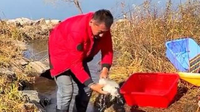 #户外捕鱼 #好多鱼