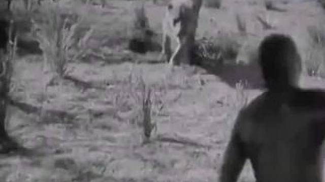 马赛人到底有多凶猛？#纪录片 #神奇动物在这里 #野生动物零距离 #动物世界#内容启发搜索