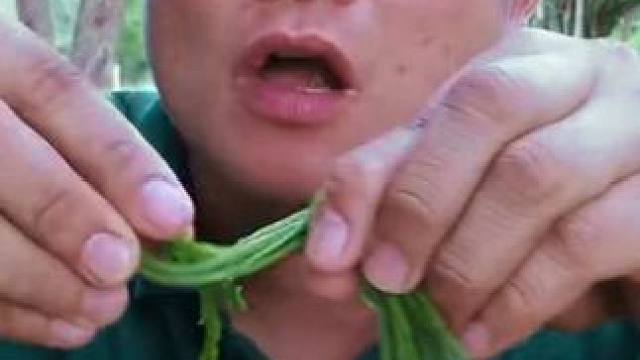 害羞草剁椒️辣拌大生蚝肉 #泰国主播吃美食视频 #泰国美食 #泰国生活 #泰国大叔#内容启发搜索