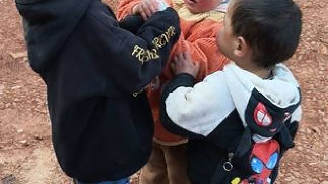 今天大双小双挺和谐的。 #内容启发搜索