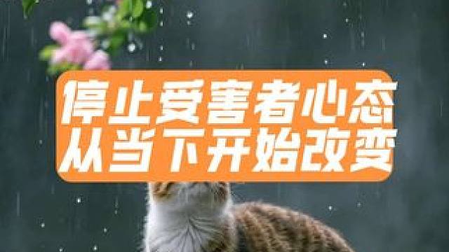 停止受害者心态，从当下开始改变 
你把自己当受害者，受害者的命运就会如影随形。
生活的不理想会滋生种