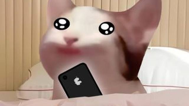 情侣之间增进感情的“冷知识” #情侣日常 #内容启发搜索 #原创动画