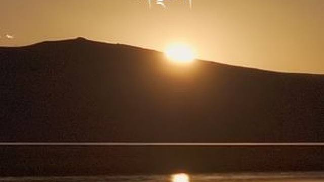 嘿，我是黑颈鹤，我是高原上最神秘的守护者，用坚定的守护，为这片土地带来生机与安宁。#黑颈鹤#守护者#