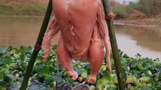 钓鱼#钓鱼人就是这么疯狂 #钓鱼 #内容启发搜索