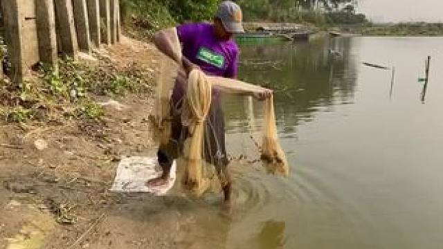 撒网捕鱼#捕鱼#撒网捕鱼#户外捕鱼