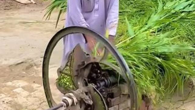 印度牛神自己做饭自己吃。#印度牛 #日常vlog #极度舒适 #省时省力效率高