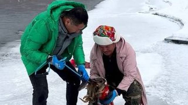 #户外捕鱼 #好多鱼