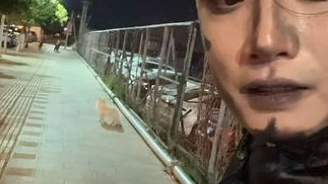 有没有人知道这个流浪的小东西是啥？