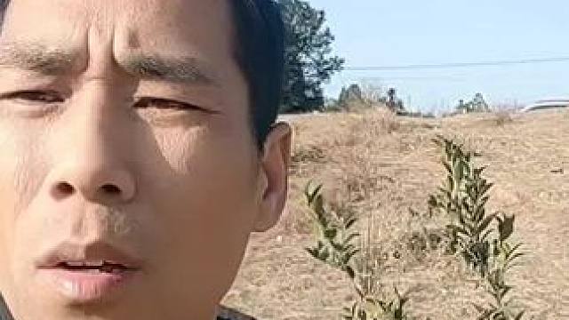 #用了一麻袋的钱去供养一个孩子上大学#穷人家的孩子多努力啊 #为了给孩子一个完整的家 #现在养大一个