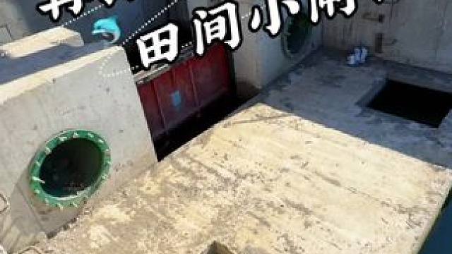 再探田间小闸口 #野外垂钓 #钓鱼#野钓#钓鱼日记#蓝鲫青春版