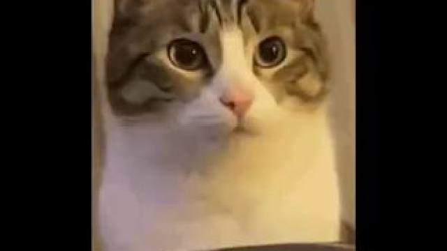 #重生文学的风也是吹到了广告界  管他广不广告的，我高低得尝尝咸淡！