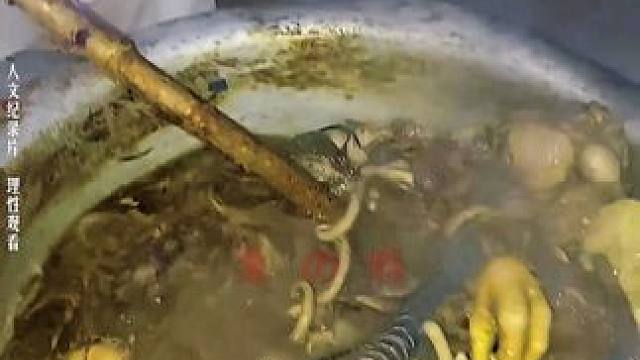 哈扎比部落的晚餐！ #纪录片 #哈扎比部落