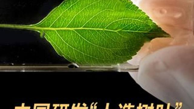 中国研发“人造树叶”，能自动高效制氧 #中国  #人造树叶  #人工智能  #科技强国  #科技