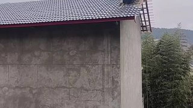 专业换瓦#屋面瓦 #旧房翻新瓦片 #质量第一诚信为本 #专业的事交给专业的人 #上热门