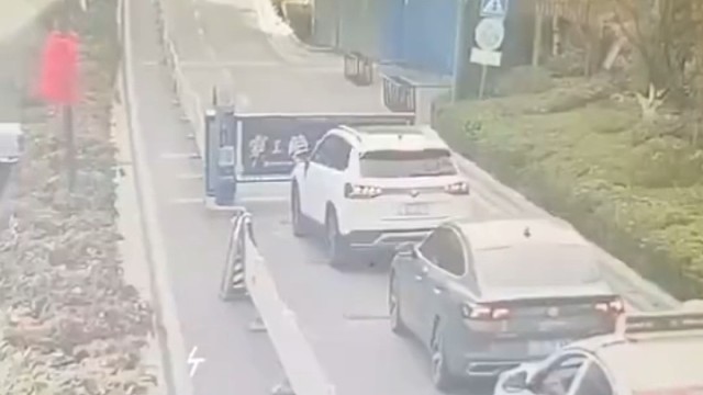 人类驯服野生汽车，失败视频记录