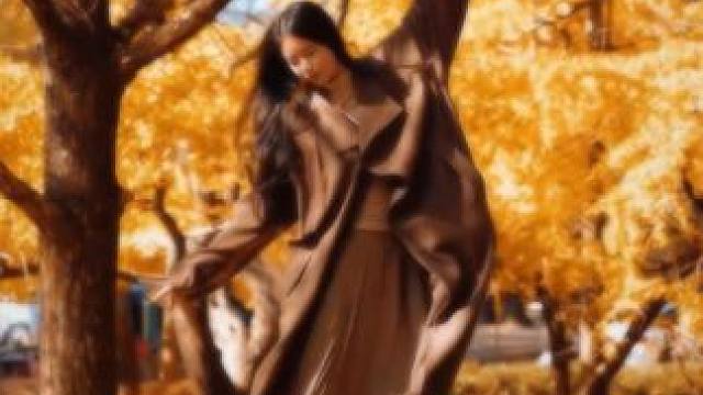 春知晓 梦不觉 恰似你我那年