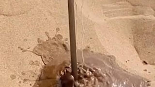 沙漠竟然还可以这么利用，不得不说我国的劳动人民是真聪明！ #三农 #西梅干 #新疆喀什西梅干 #零食