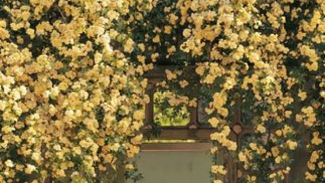 年后想要快速努力一把的姐妹，每天来杯免煮#苹果山楂水 茶包，酸酸甜甜清爽好喝#仙女都在喝什么 #多喝