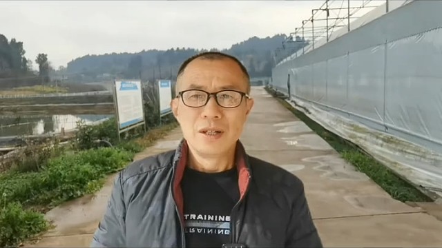 如何进入泥鳅养殖行业