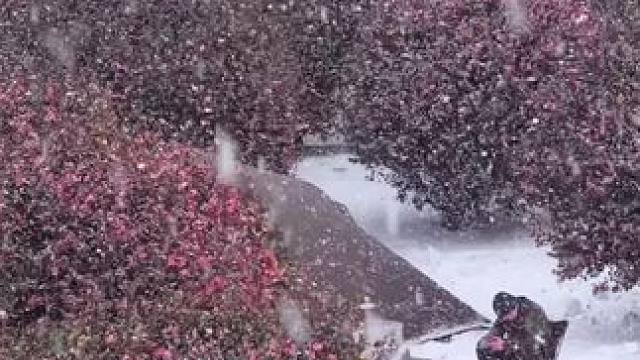 大雪纷飞的露营 #露营报告