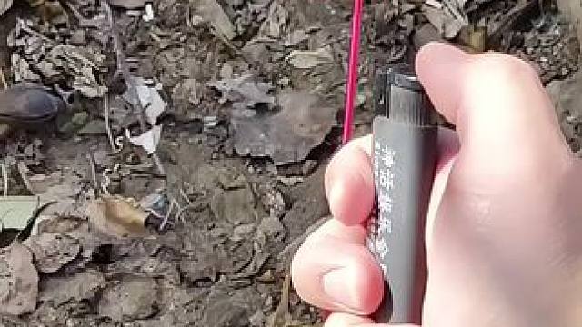 都玩过吗，会玩吗？#花式放炮