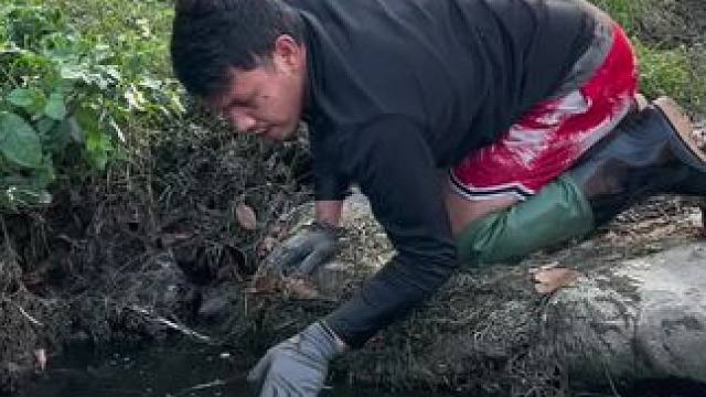 逮鱼摸虾#户外抓鱼 #徒手抓鱼 #抓鱼 #内容启发搜索