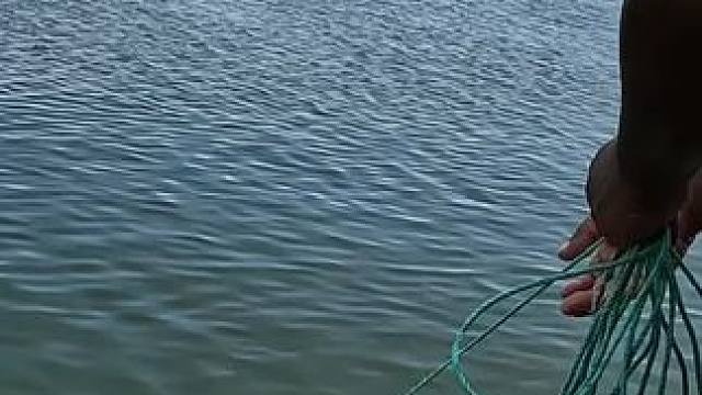 撒网捕鱼#捕鱼#户外捕鱼#撒网捕鱼 #渔民日常 #内容启发搜索